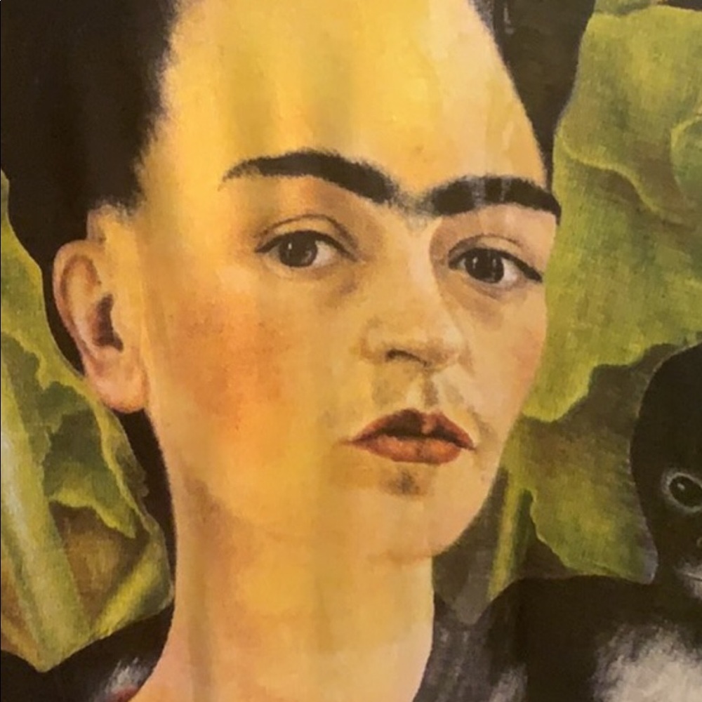 Frida Kahlo Cover
